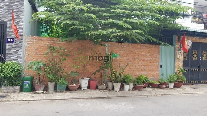 Hình ảnh Bán đất Hóc Môn – Sổ đỏ riêng – lô đất đẹp – Giá 8,25 tỷ – Chính chủ