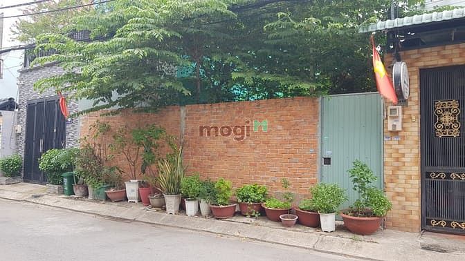Hình ảnh Bán đất Hóc Môn – Sổ đỏ riêng – lô đất đẹp – Giá 8,25 tỷ – Chính chủ
