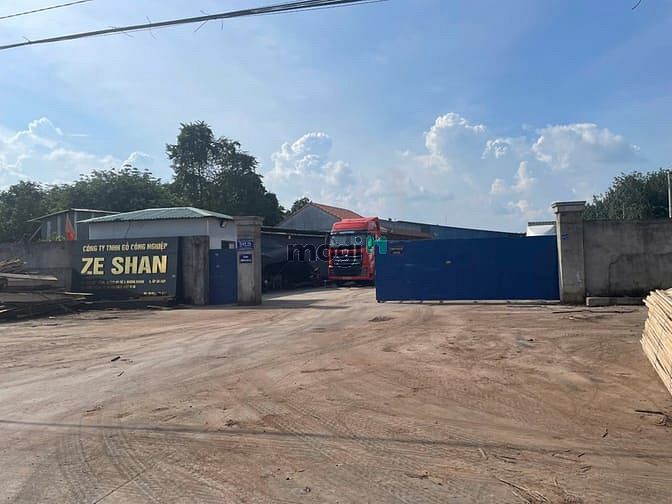 Hình ảnh Chủ Gửi 1000M2 Đất TC Có Sẵn Vườn Mít Đang Thu Hoạch Cạnh Chợ Và UBND
