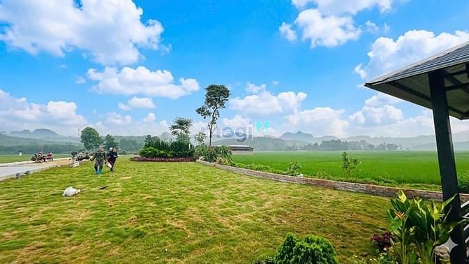 Hình ảnh 🚨 Đất nền ba hàng đồi giá F0 🚨