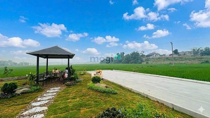 Hình ảnh 🚨 Đất nền ba hàng đồi giá F0 🚨