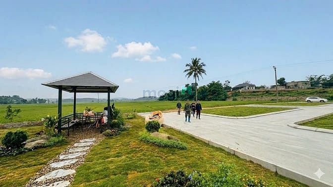 Hình ảnh 🚨 Đất nền ba hàng đồi giá F0 🚨