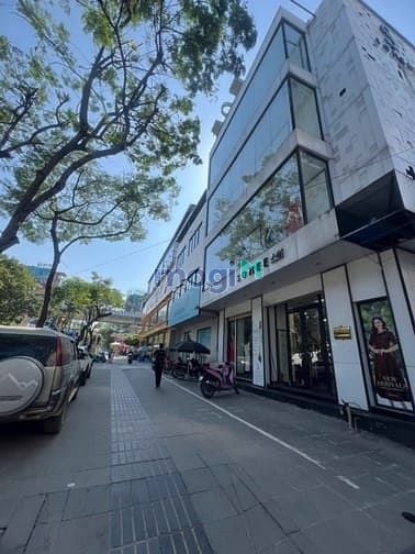Hình ảnh Building for lease- Thái Hà- Đống Đa