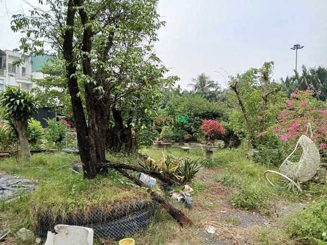 Hình ảnh Cho thuê 1.600m2 đất tc ngay vòng xoay Phú Hữu