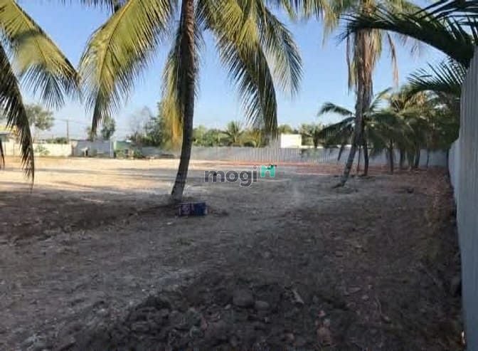Hình ảnh 9000 m2 đất trống cạnh Vành Đai III quận 9