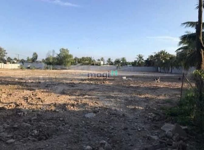 Hình ảnh 9000 m2 đất trống cạnh Vành Đai III quận 9