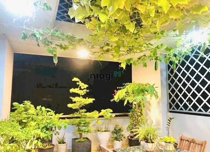 Hình ảnh Nhà thuê, Khu Tên Lửa, Bình Tân, 4x20 3 Lầu 4PN, Full Nội Thất