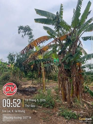 Hình ảnh Bán đất sau lưng ủy ban xã Iader cũ