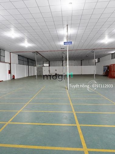 Hình ảnh 🔥 Cho Thuê Kho 1000m2 tại Q7 HCM - Chính Chủ🔥