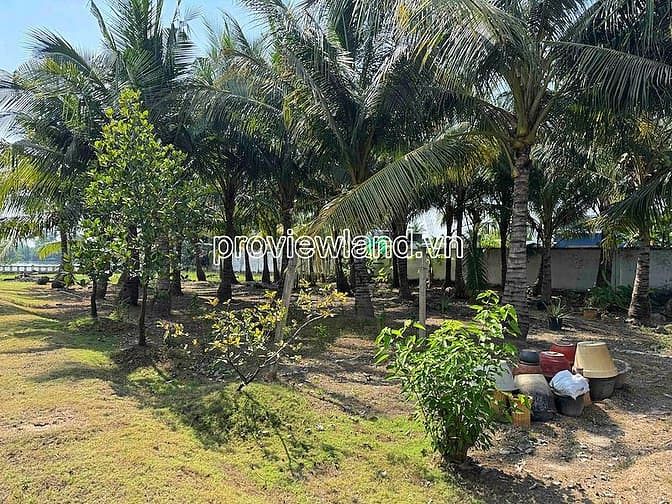 Hình ảnh Bán đất bờ sông Long Phước Thủ Đức, 5.000m², thích hợp compound