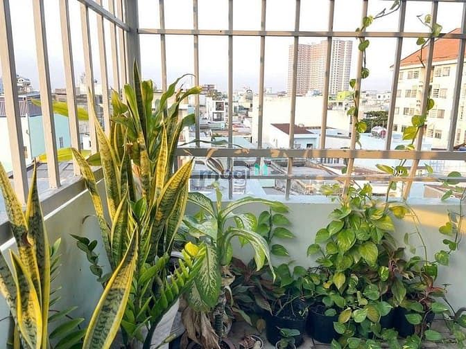 Hình ảnh 🏘️Cho Thuê Nhà Bà Hom-P13-Quận 6