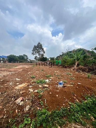 Hình ảnh Bán đất phía sau Uỷ Ban Iader cũ - Huyện IaGrai - Gia Lai