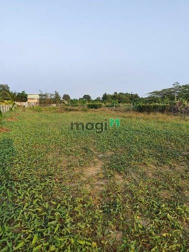 Hình ảnh Bình Chánh DT 1.400m², mặt tiền rộng 16,35m. chỉ 6 tỷ