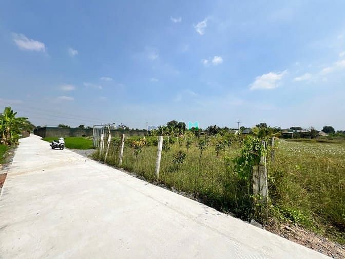 Hình ảnh Bình Chánh DT 1.400m², mặt tiền rộng 16,35m. chỉ 6 tỷ