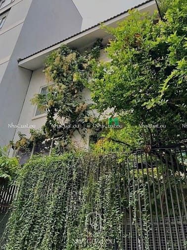Hình ảnh 🏡Duplex Ban Công Cực Vibe Với Decor Có Gu + Green View