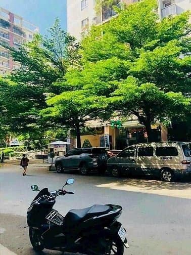 Hình ảnh Bán nhà đẹp 1005/61/26 Nguyễn Kiệm-Nguyễn Văn Công P3 Gò Vấp (Bv175