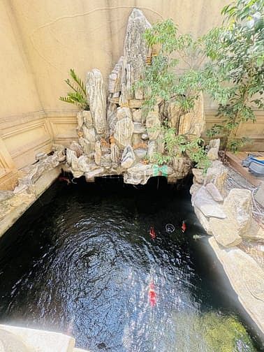 Hình ảnh Biệt Thự Ven Sông Bình Chánh, 338m2, 15m Ngang, 5 Tầng, Thang Máy, 45T