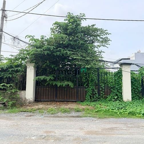 Hình ảnh Chính Chủ Gửi Bán Lô Đất Hẻm 41 Đường Gò Cát P.Phú Hữu Quận 9.
