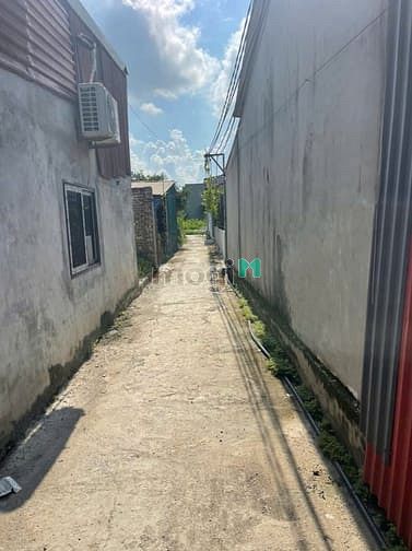 Hình ảnh Bán đất chính chủ tại ngõ 18 thôn Siêu Quần xã Tả Thanh Oai, Thanh Trì
