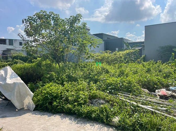 Hình ảnh Bán đất chính chủ tại ngõ 18 thôn Siêu Quần xã Tả Thanh Oai, Thanh Trì