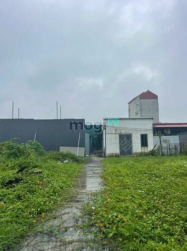 Hình ảnh Bán đất chính chủ tại ngõ 18 thôn Siêu Quần xã Tả Thanh Oai, Thanh Trì