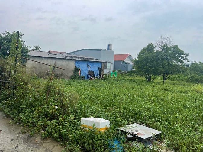 Hình ảnh Bán đất chính chủ tại ngõ 18 thôn Siêu Quần xã Tả Thanh Oai, Thanh Trì