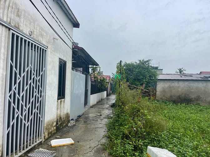Hình ảnh Bán đất chính chủ tại ngõ 18 thôn Siêu Quần xã Tả Thanh Oai, Thanh Trì