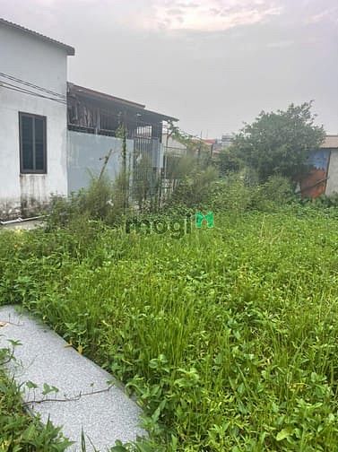 Hình ảnh Bán đất chính chủ tại ngõ 18 thôn Siêu Quần xã Tả Thanh Oai, Thanh Trì
