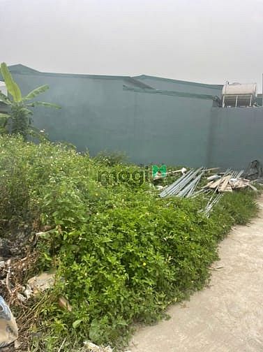 Hình ảnh Bán đất chính chủ tại ngõ 18 thôn Siêu Quần xã Tả Thanh Oai, Thanh Trì