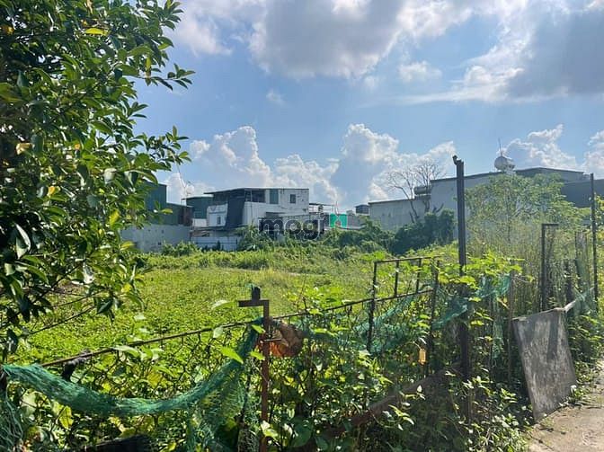 Hình ảnh Bán đất chính chủ tại ngõ 18 thôn Siêu Quần xã Tả Thanh Oai, Thanh Trì