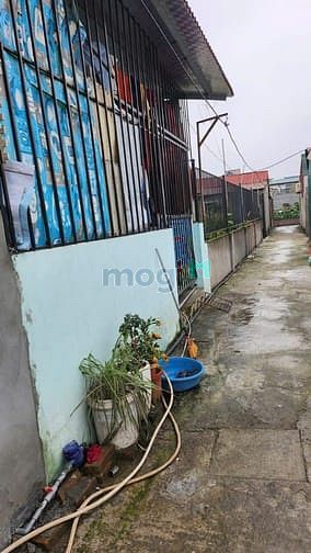 Hình ảnh Bán đất chính chủ tại ngõ 18 thôn Siêu Quần xã Tả Thanh Oai, Thanh Trì