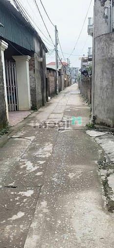 Hình ảnh Bán đất chính chủ tại ngõ 18 thôn Siêu Quần xã Tả Thanh Oai, Thanh Trì