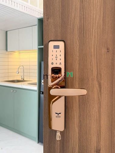 Hình ảnh Cho thuê Trang Chủ MB66.COM / Đăng Ký Tặng 66K ban công thoáng Quận 3 gần ĐH Bách Khoa - ĐH Văn Hiến