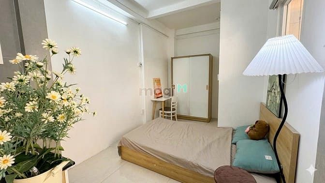 Hình ảnh Mb6623 nạp rút nhanh chóng Studio ngay trung tâm Quận 3 gần ĐH Kinh Tế, ĐH Hoa Sen