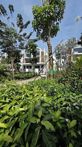 Hình ảnh Nhà phố, biệt thự The Meadow Bình Chánh chỉ 20% nhận nhà, trả chậm 5%