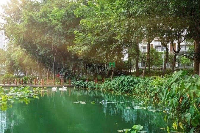 Hình ảnh The Glen- Full rổ hàng (Căn góc - căn thường) mua giá gốc CĐT, TT 3năm