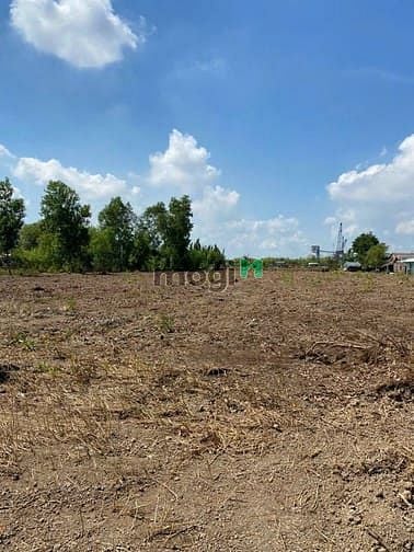 Hình ảnh Đất MT Nguyễn Hữu Cảnh Nhơn Trạch ,QH ONT,Giá RẺ 3,5TY, SHR CHÍNH CHỦ