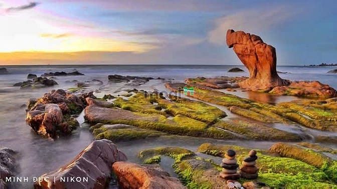Hình ảnh 🔥[Cực nóng]🔥Đất Biển Cổ Thạch – Sở Hữu Ngay, Nhận Thêm Vàng!