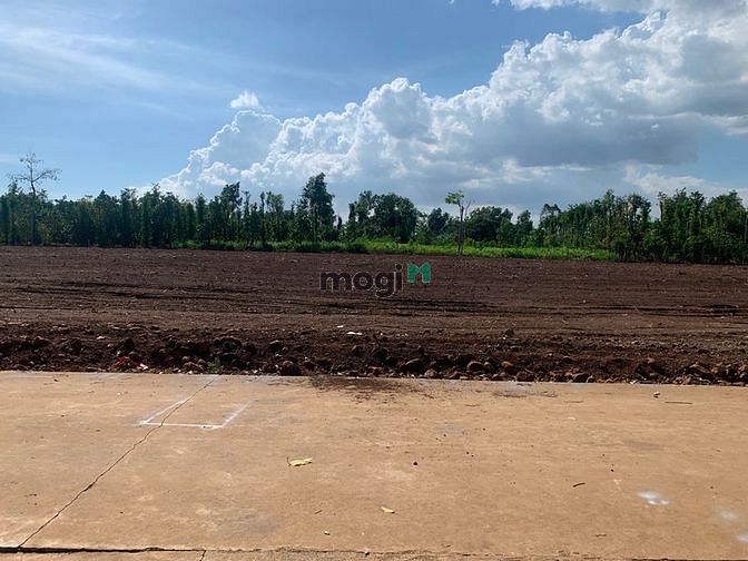 Hình ảnh Bán 10000m2 có 300 thổ cư có nhà cấp 4 shr