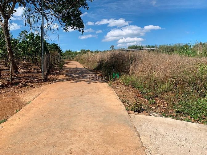 Hình ảnh Bán 10000m2 có 300 thổ cư có nhà cấp 4 shr