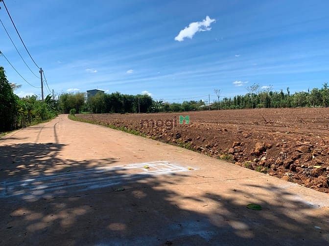 Hình ảnh Bán 10000m2 có 300 thổ cư có nhà cấp 4 shr