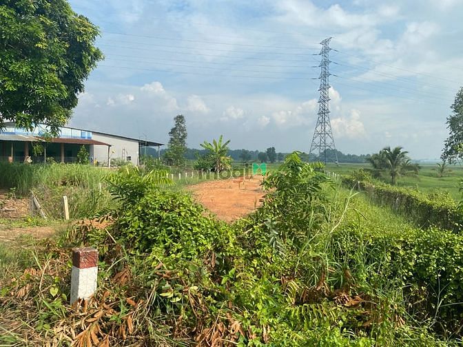Hình ảnh Đất thổ cư thị trấn hậu nghĩa 200m2 giá 1ty7, bao sang tên
