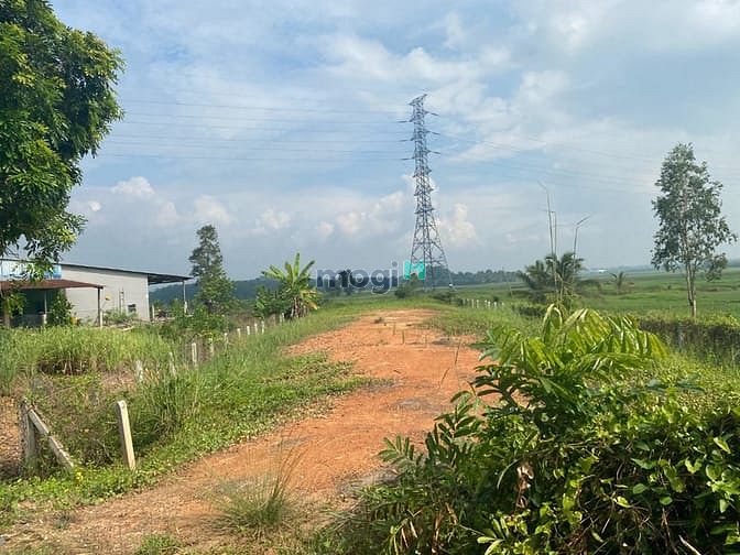 Hình ảnh Đất thổ cư thị trấn hậu nghĩa 200m2 giá 1ty7, bao sang tên