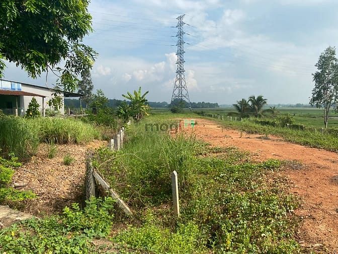 Hình ảnh Đất thổ cư thị trấn hậu nghĩa 200m2 giá 1ty7, bao sang tên