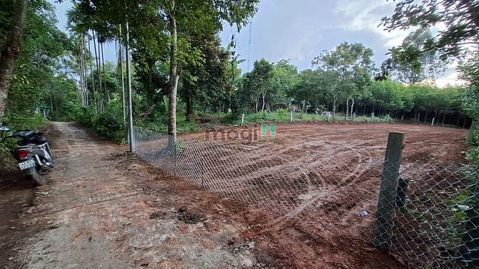 Hình ảnh Bán đất tại Ninh An, Hòa Nhơn, xã Bà Nà, Đà Nẵng, 1,6 tỷ, 439,9 m2