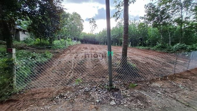 Hình ảnh Bán đất tại Ninh An, Hòa Nhơn, xã Bà Nà, Đà Nẵng, 1,6 tỷ, 439,9 m2
