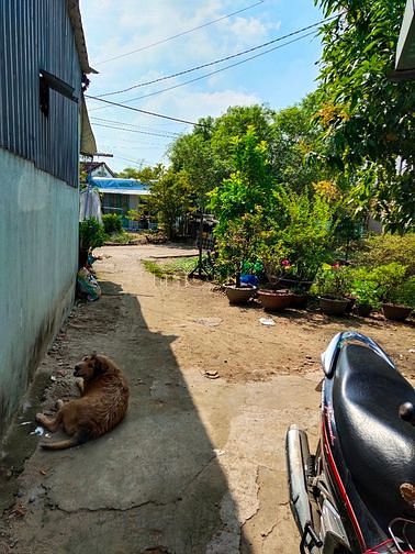 Hình ảnh Giá 680 triệu có lô đất hóc môn, rẻ hơn đất long an.