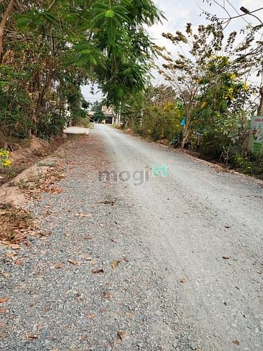Hình ảnh Phú Hòa Đông củ Chi Bán đất trồng cây dt 4800 m có 200 m thổ cư khu d