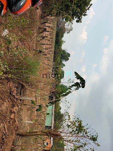 Hình ảnh Phú Hòa Đông củ Chi Bán đất trồng cây dt 4800 m có 200 m thổ cư khu d