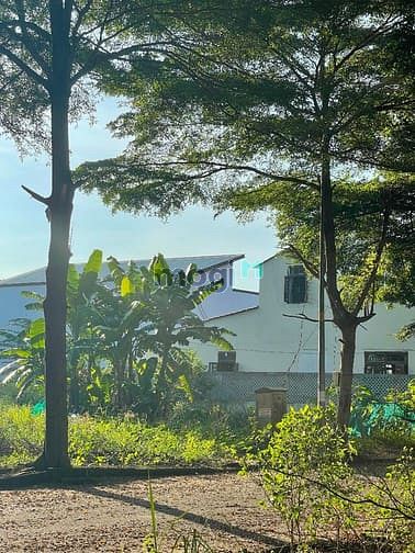 Hình ảnh Bán đất quận 9 đường Bưng Ông Thoàn 160 m sổ hồng